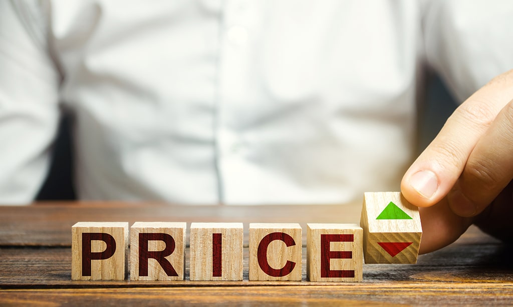 Cutting price to achieve a higher business valuation
